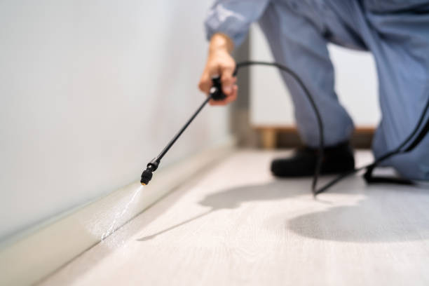 Licensed Termite Control service in Urbana, MD - Nex Pest Control