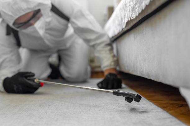 Professional Termite Control technician working in Urbana, MD