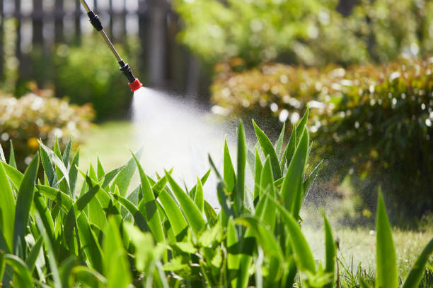 24/7 Emergency Termite Control experts in Urbana, MD