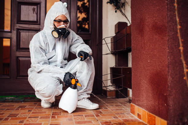 Reliable Termite Control contractor in Urbana, MD by Nex Pest Control
